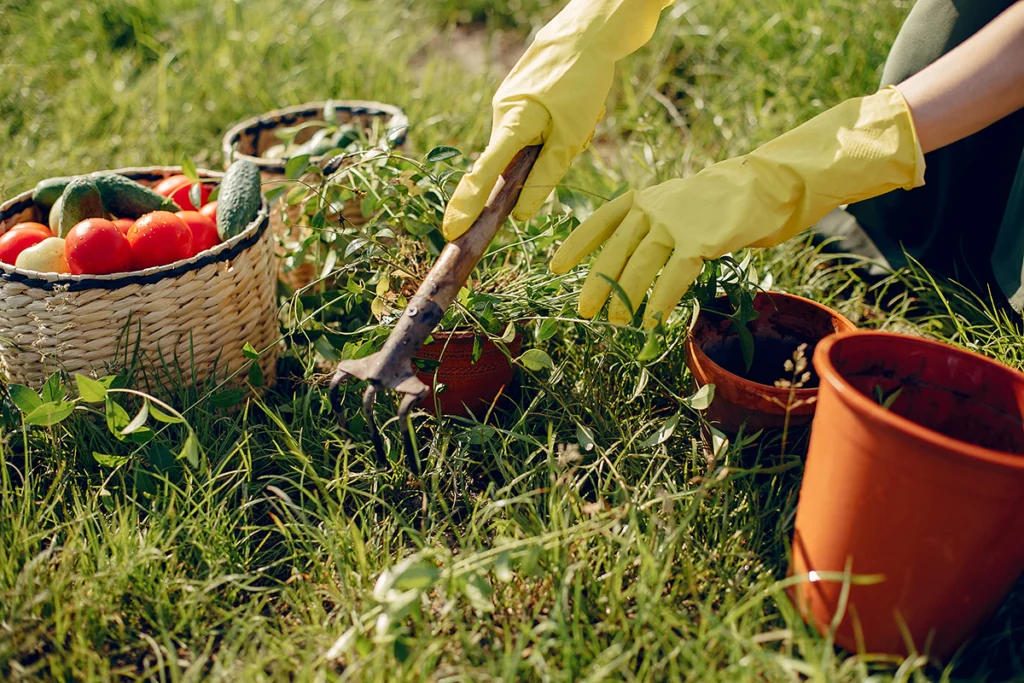 Tuinen schoonmaken Tuinen schoonmaken