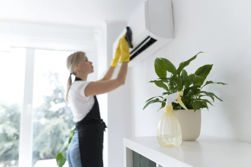 Privéwoningen schoonmaken Privéwoningen schoonmaken